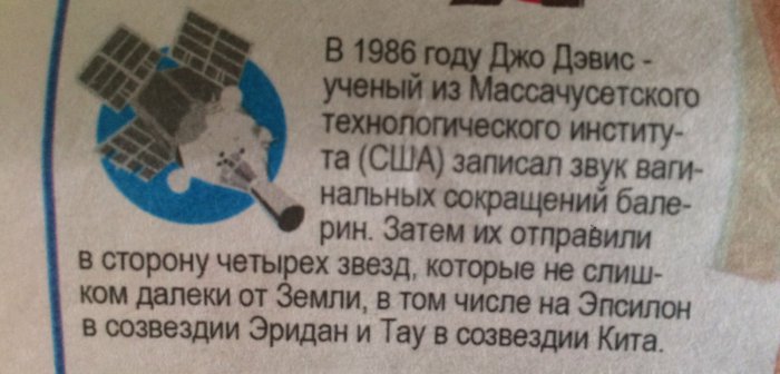 Забавные картинки