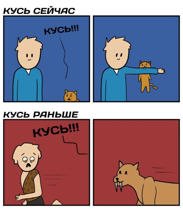 Забавные картинки