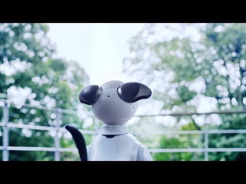 Sony перезапускает собаку-робота Aibo