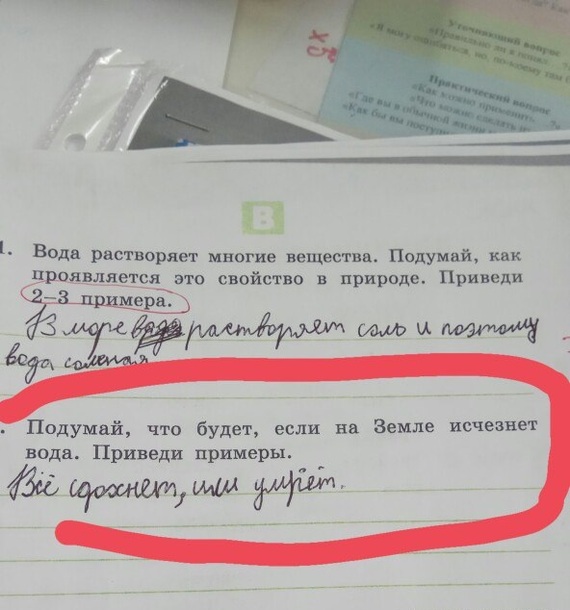 Забавные картинки