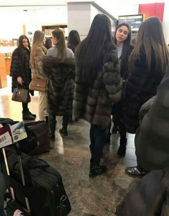 Лыжницы. Рейс на Крушевель
