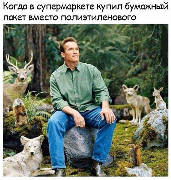 Забавные картинки