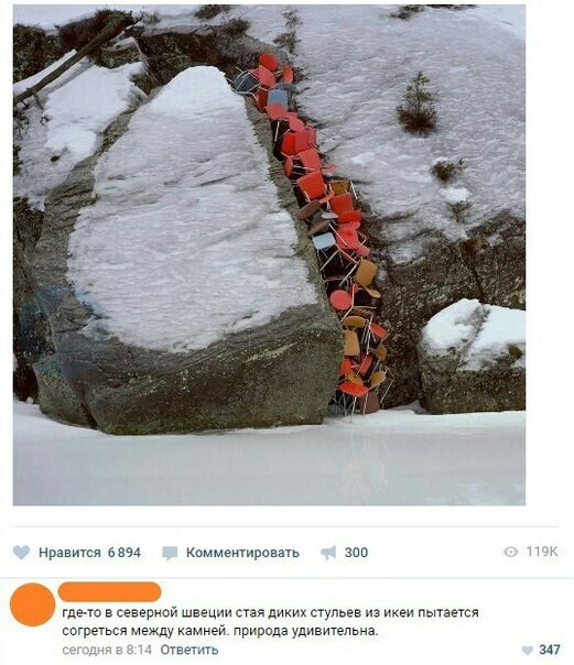 Забавные картинки