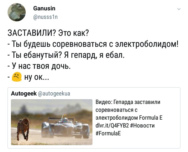 Забавные картинки