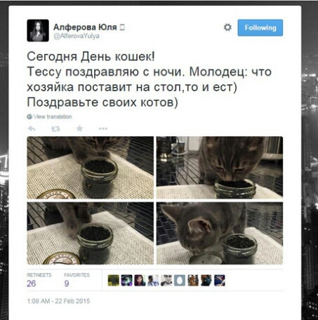 Советником Орешкина назначена чиновница, которая кормит кота черной икрой Советником Орешкина назначена чиновница, которая кормит кота черной икрой