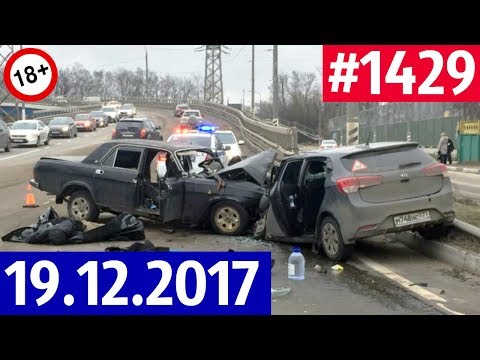 Дорожные войны №1429