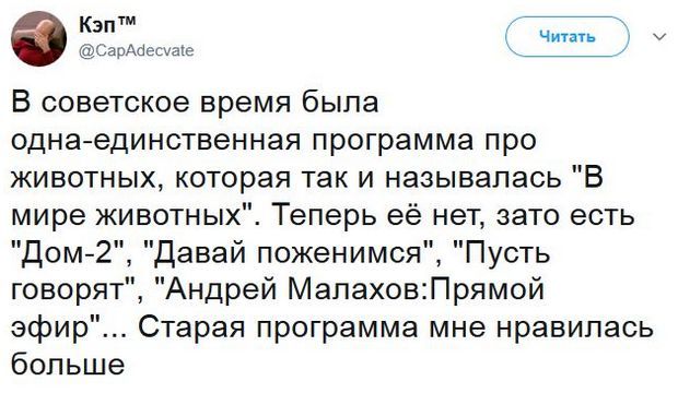 Забавные картинки
