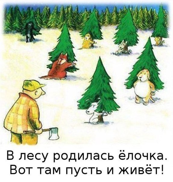 Забавные картинки