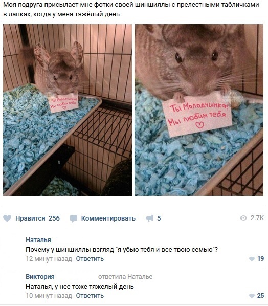 Забавные картинки