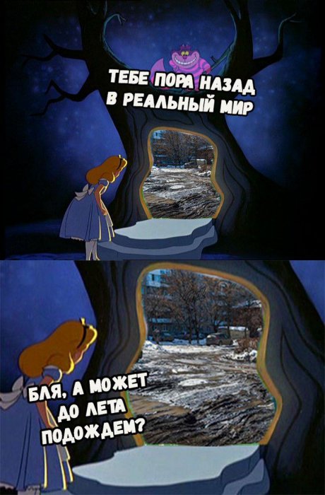 Забавные картинки