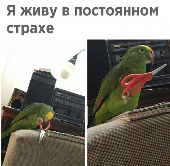 Забавные картинки