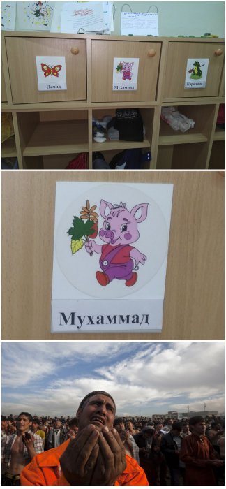 Забавные картинки