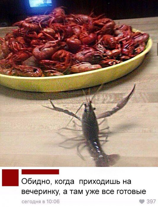 Забавные картинки