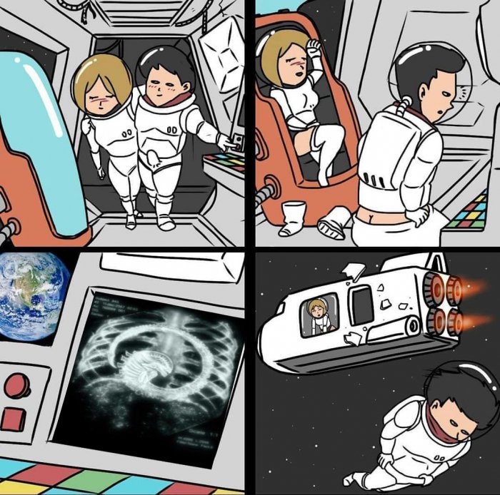 Забавные картинки