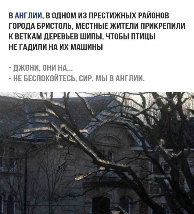 Забавные картинки
