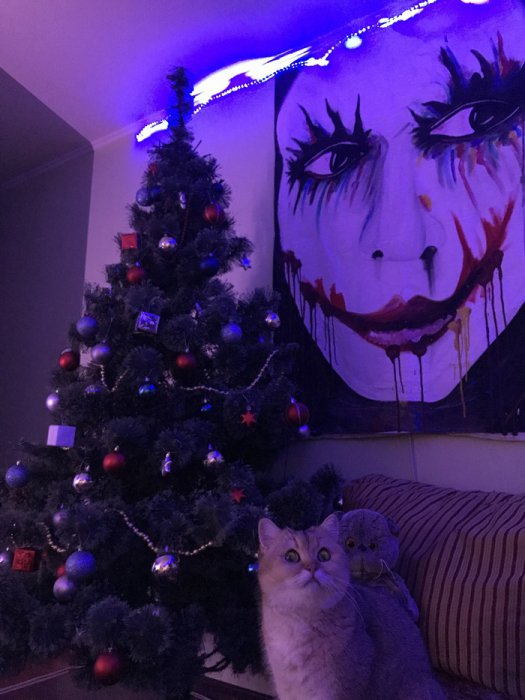 Девушки бывают разные