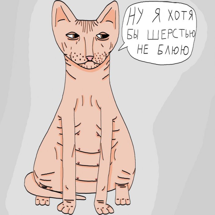 Забавные картинки