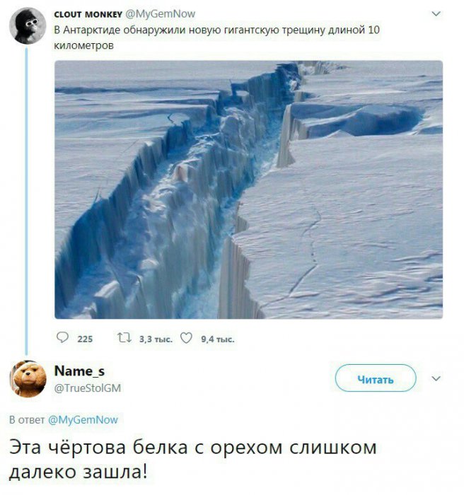Забавные картинки