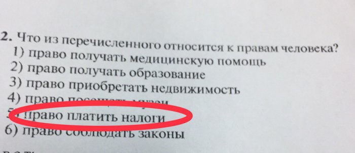 Забавные картинки