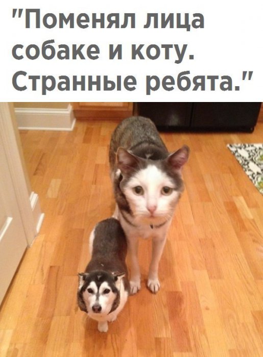Забавные картинки