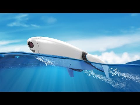 PowerDolphin - подводный дрон