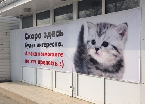 Забавные картинки