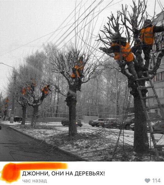 Забавные картинки
