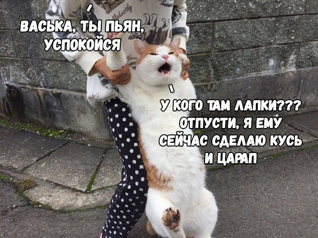 Забавные картинки