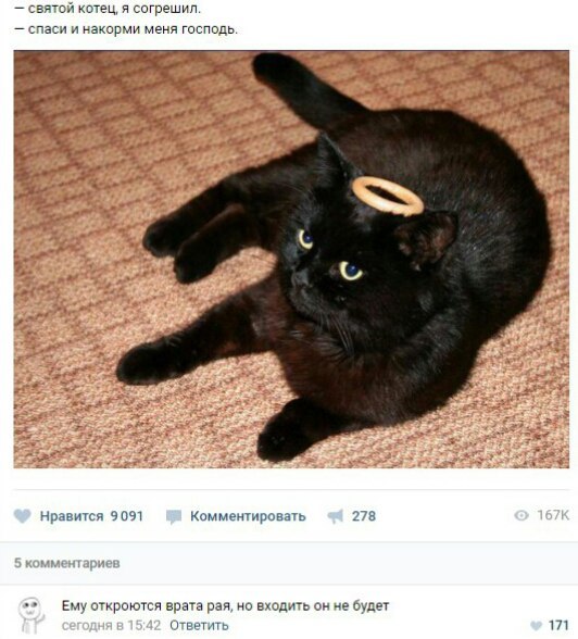 Забавные картинки