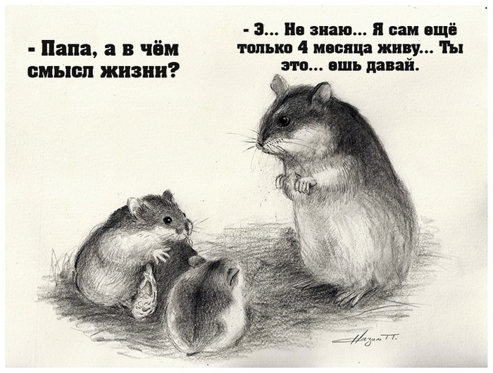 Забавные картинки