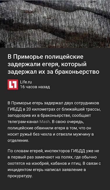 Забавные картинки