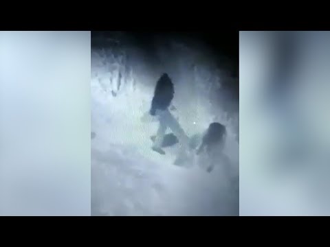 Отморозки Отморозки