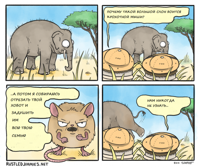 Забавные картинки