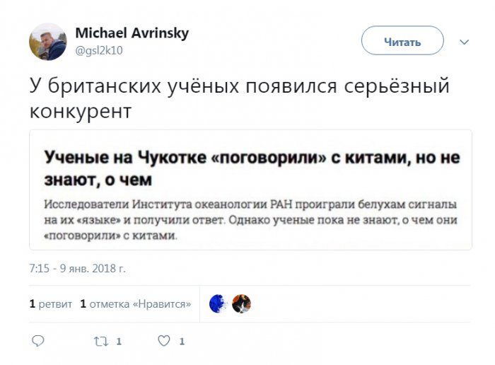 Забавные картинки