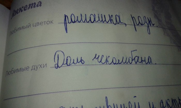 Забавные картинки