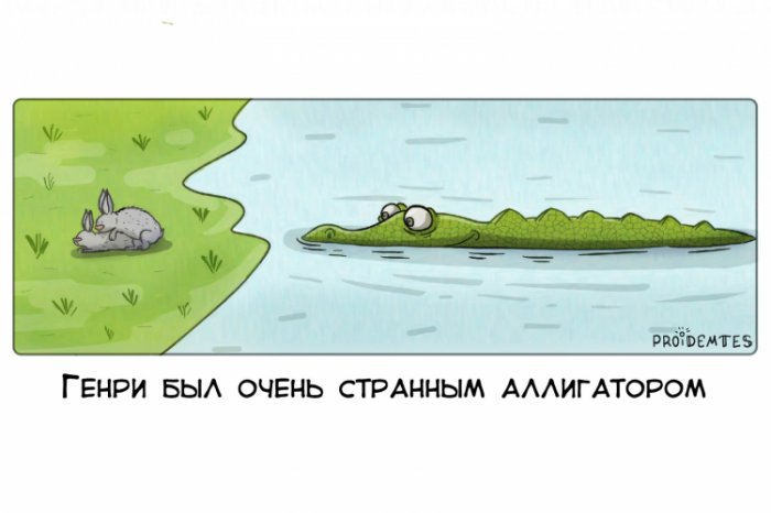 Забавные картинки
