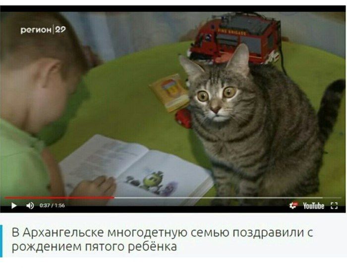 Забавные картинки