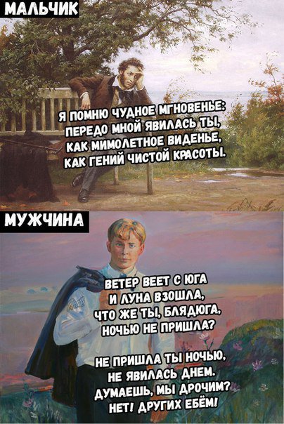 Забавные картинки