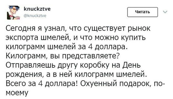 Забавные картинки