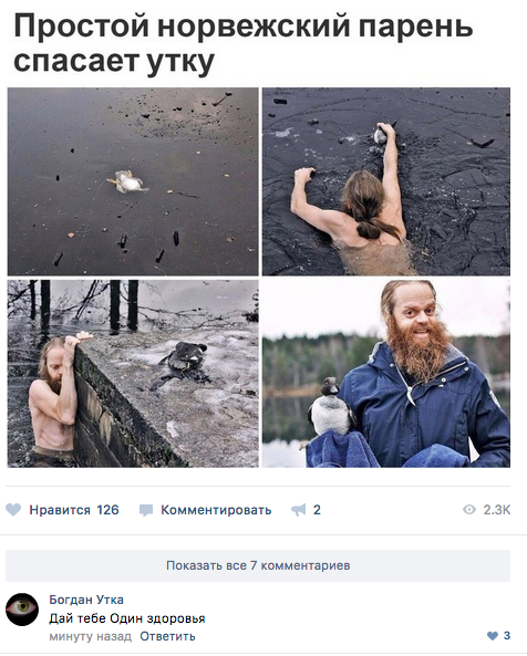 Забавные картинки