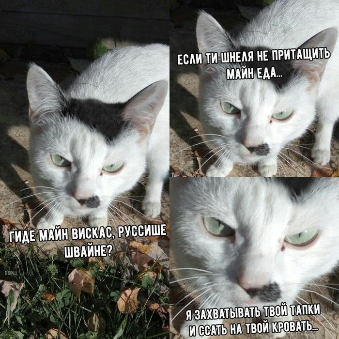 Забавные картинки