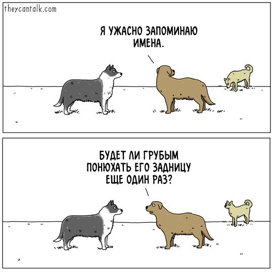 Забавные картинки