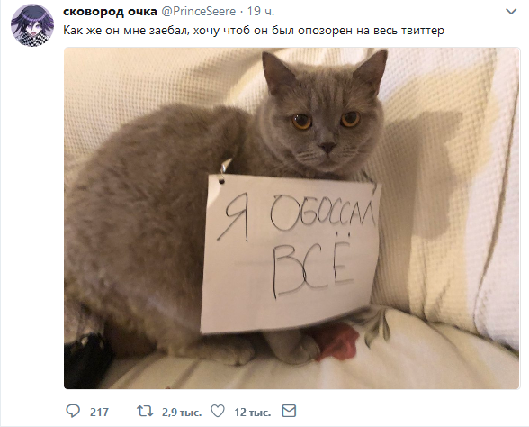 Забавные картинки