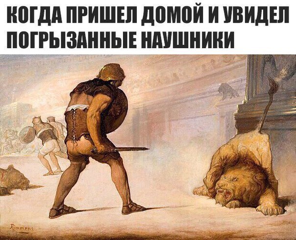 Забавные картинки
