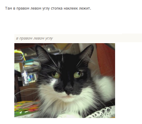 Забавные картинки