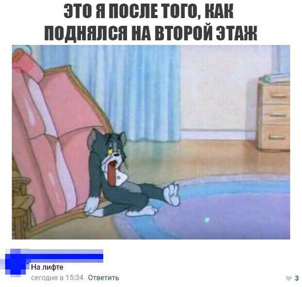 Прикольные картинки