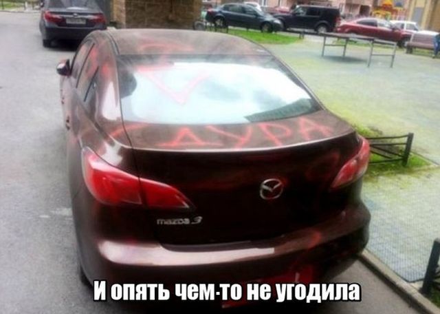 Прикольные картинки