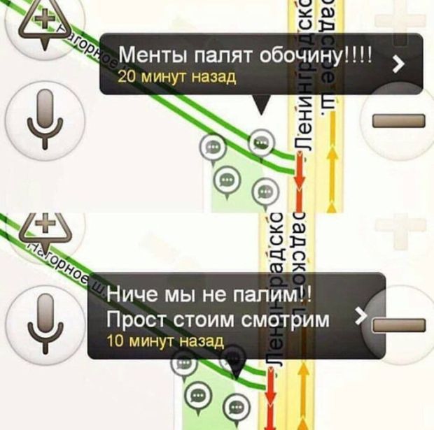 Прикольные картинки