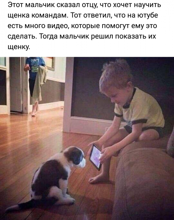 Забавные картинки