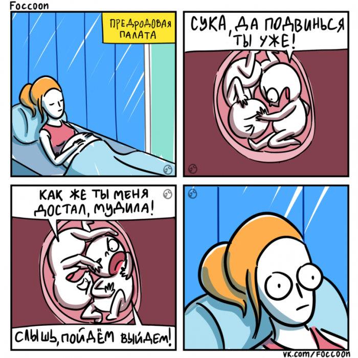 Забавные картинки